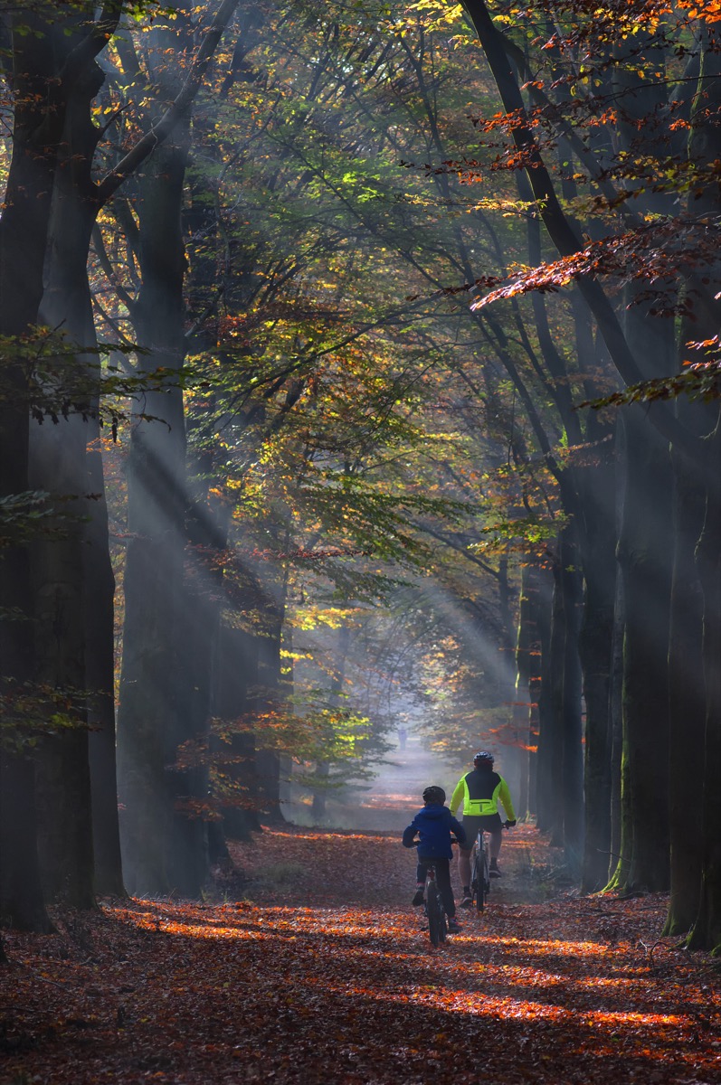 Pai e filho num passeio tranquilo de bicicleta na natureza